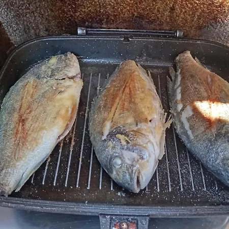 Yacht-urlaub In Den Buchten Von * Datca